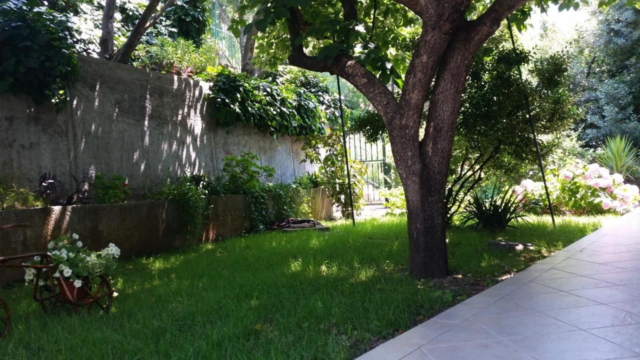 Апартаменты Apartments Jelena Херцег-Нови-26