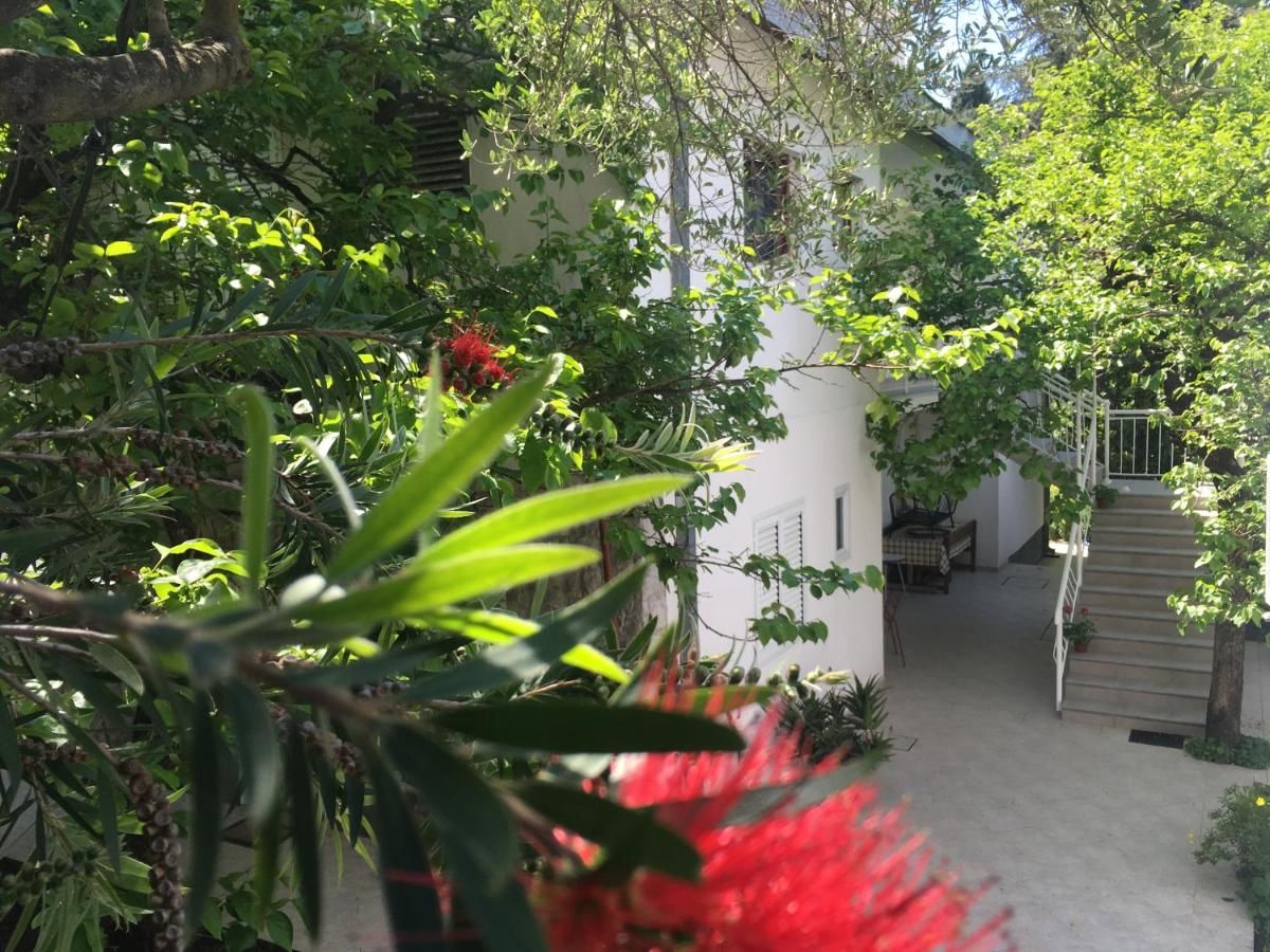 Апартаменты Apartments Jelena Херцег-Нови-28