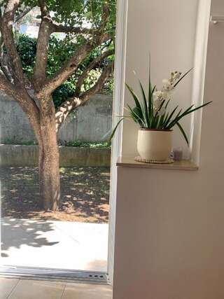 Апартаменты Apartments Jelena Херцег-Нови Апартаменты с 1 спальней-18