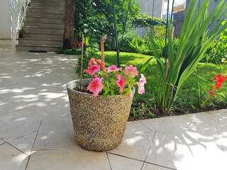 Апартаменты Apartments Jelena Херцег-Нови Апартаменты с 1 спальней-19